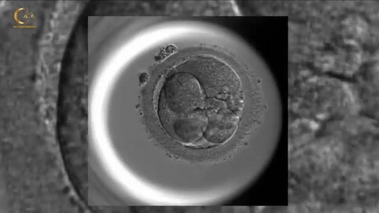 Hành trình IVF của Minh Hằng: Kích được 26 trứng nhưng chỉ có 1 phôi chất lượng, mắc sai lầm phải cầu cứu bác sĩ - 6
