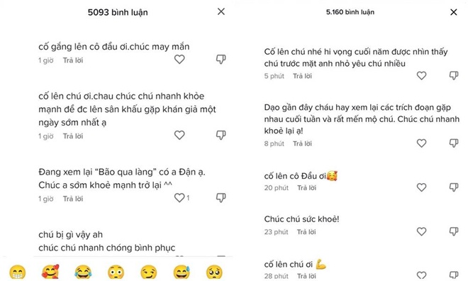 Đông đảo dân mạng để lại lời chúc sức khỏe và mong “cô Đẩu” sớm bình phục. 