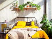 Nhà đẹp - 5 loại cây là “bậc thầy” lọc không khí, đặt một chậu trong phòng ngủ vừa ngon giấc, vừa hút tài lộc vào nhà