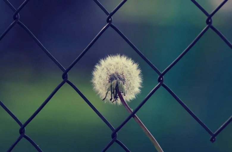 Ở đời, càng làm tốt điều này, cuộc sống sẽ càng suôn sẻ - 3