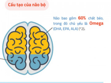 Muốn con phát triển trí não ngay từ những ngày đầu đời: Cần bổ sung dinh dưỡng ra sao?