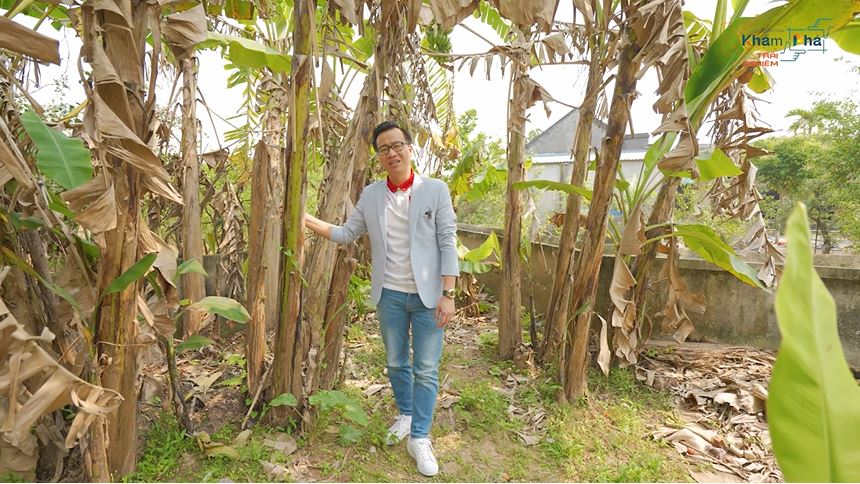 Vườn chuối nơi Chí Phèo và Thị Nở nảy sinh quan hệ.
