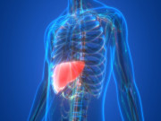 Sức khỏe - Gan của bạn không được khỏe, sử dụng ngay 13 loại thực phẩm này giúp gan thanh lọc, cơ thể khỏe mạnh