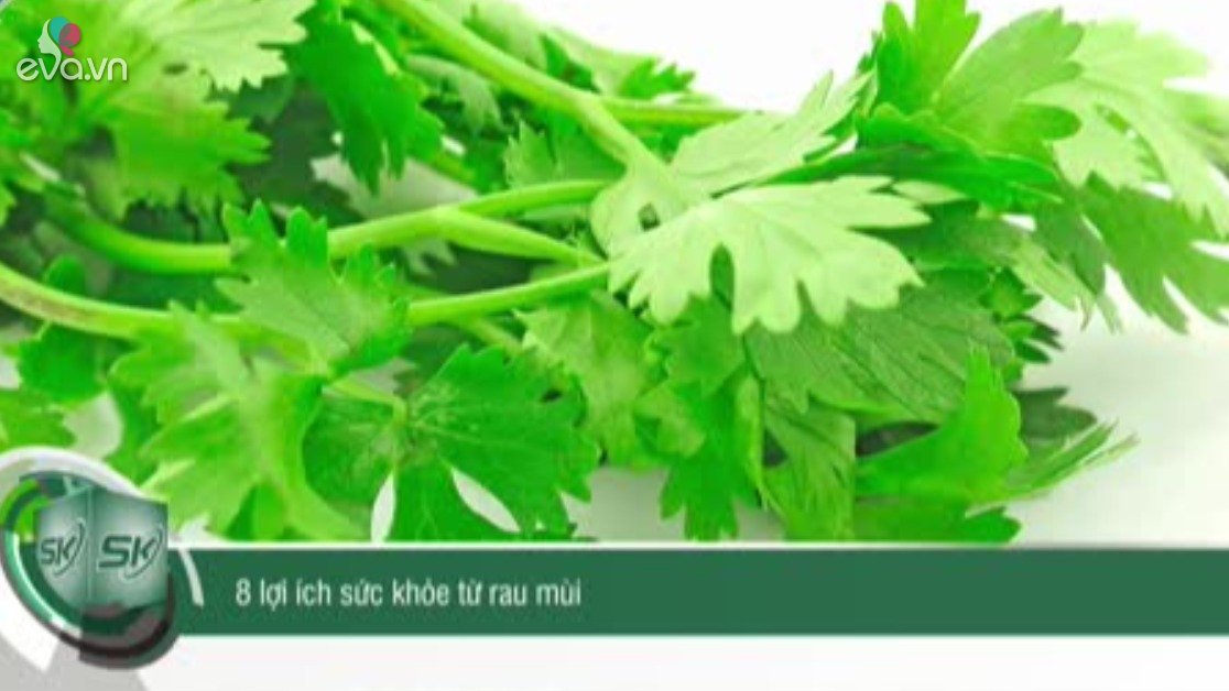 8 lợi ích sức khỏe tuyệt vời từ rau mùi