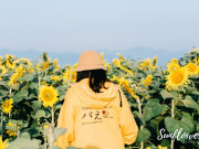 Lifestyle - Về Nghệ An thăm cánh đồng hoa hướng dương lớn nhất Việt Nam, trải rộng đến tận chân trời