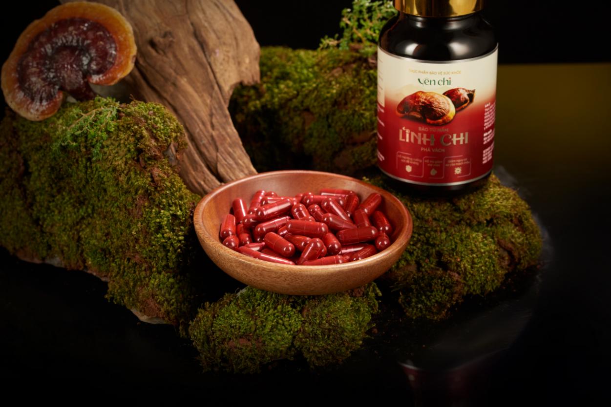 Sản phẩm Bào Tử Nấm Linh Chi Phá Vách là món quà sức khỏe ý nghĩa dành tặng người thân