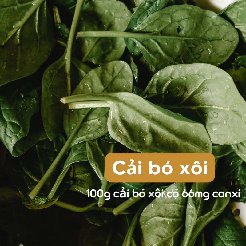 Cải bó xôi không xa lạ gì với người Việt nhưng cũng không phải loại rau được sử dụng phổ biến. Cải bó xôi rất giàu canxi, với hơn 60mg canxi trên 100g rau bina, cao hơn các loại rau khác.
