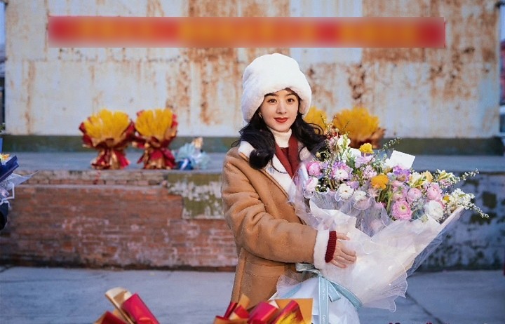 Khi Triệu Lệ Dĩnh là cái tên đắt khách vài năm trước thì cô nàng đã nhận một lúc vài ba bộ phim.