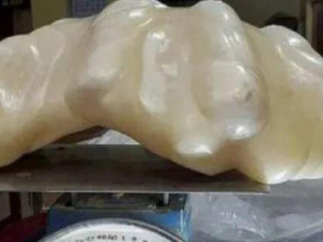 Giấu hòn đá dưới gầm giường rồi quên bẵng đi, 10 năm sau thanh niên đứng không vững khi mang đi thẩm định