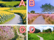 Eva tám - Trắc nghiệm tâm lý: Con đường bạn muốn đi tiết lộ 3 năm tới bạn có trở nên nổi bật