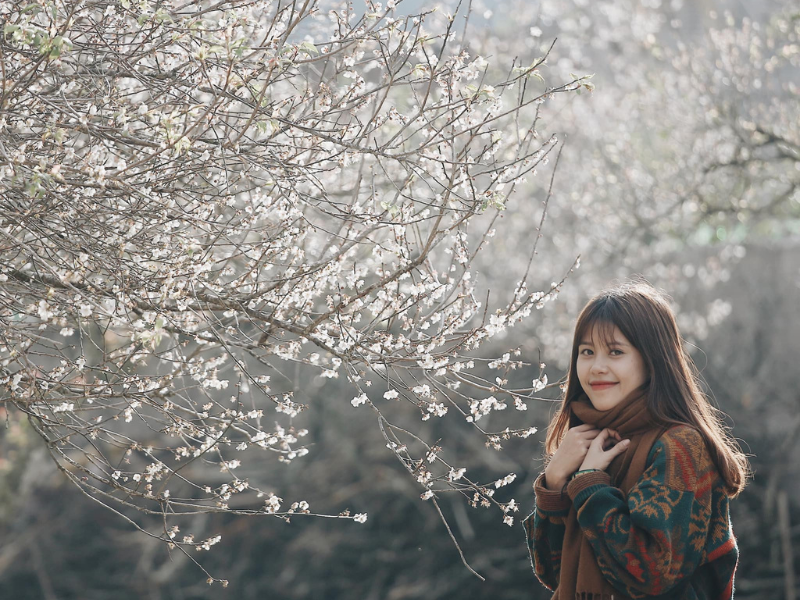 Hi vọng bạn sẽ có được một bộ ảnh thật đẹp khi đến với Mộc Châu mùa hoa mận nở. (Ảnh: Mai San)
