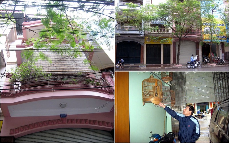 Còn nhà ở quê Hải Phòng của Quang Thắng từng lộ diện cách đây nhiều năm. Ngôi nhà này khá khang trang nằm trên phố Văn Cao.
