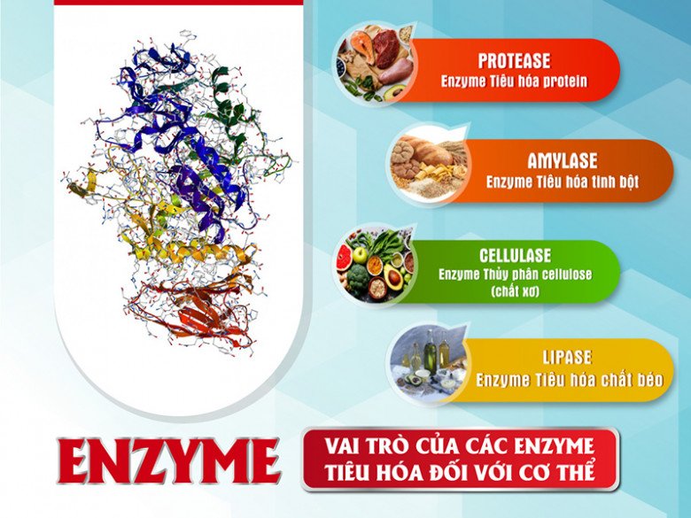 Chuyên gia chống ung thư chỉ ra 3 thứ thải độc và thúc đẩy trao đổi chất để tế bào ung thư không thể tồn tại - 3