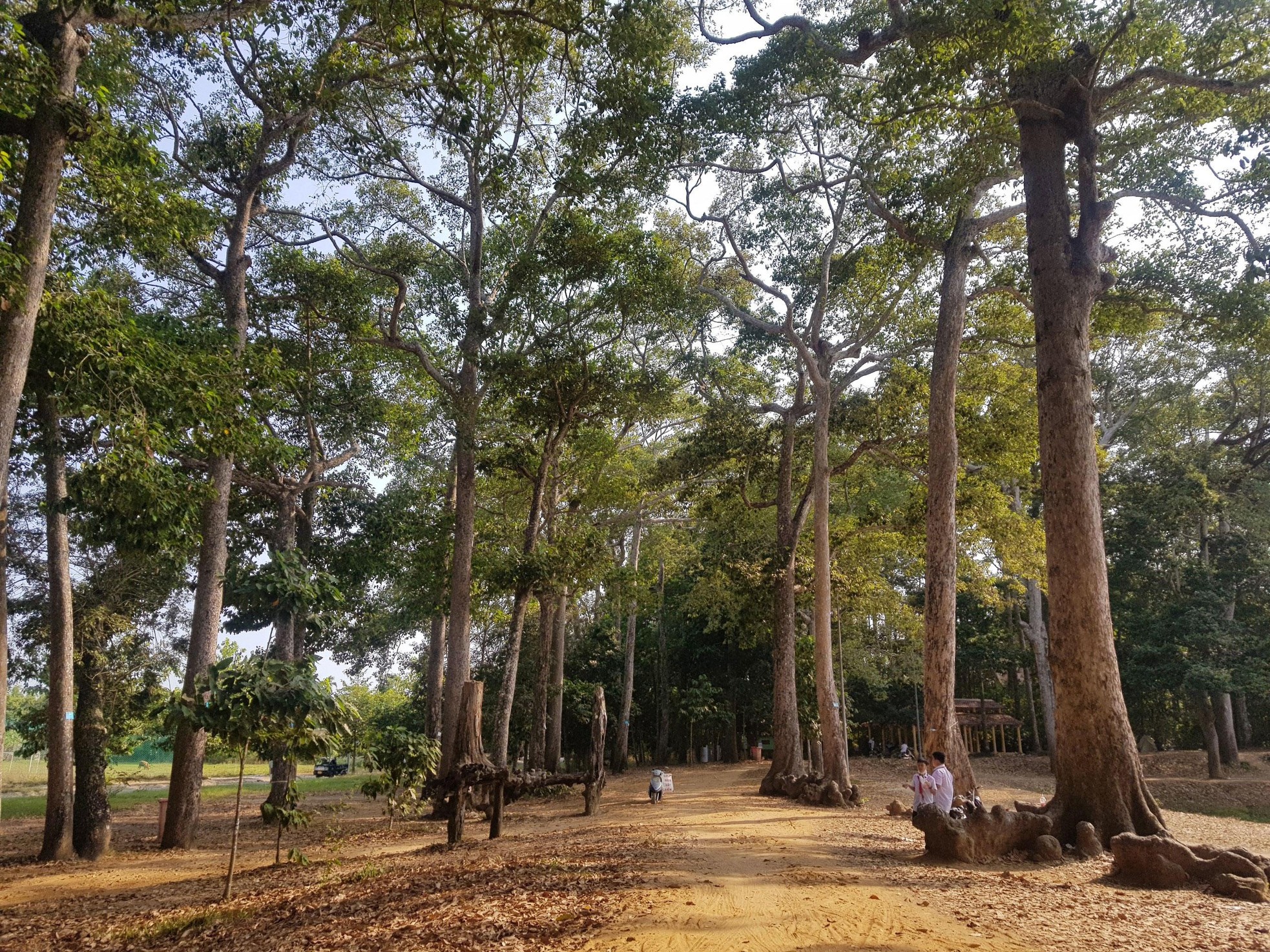 Khí hậu tại Ao Bà Om mát mẻ quanh năm nên được người dân Trà Vinh đặt tên là Đà Lạt thứ hai. Bao bọc quanh ao là rừng cây cổ thụ, đa số là cây sao, cây dầu hàng trăm tuổi.