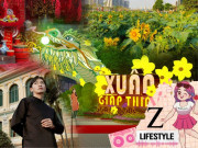 Tết sắp đến, đâu sẽ là những hoạt động yêu thích của giới trẻ Sài thành?