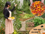 Nhà đẹp - Từng khuân đất lên sân thượng trồng rau, nay mẹ đảm Hải Phòng làm “nông dân mặt đất”, rau củ quả tươi tốt hơn xưa