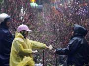 Tin tức - Tin tức 24h: Nhiệt độ trung bình ở các khu vực dịp Tết Nguyên đán thế nào?