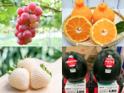 Lifestyle - 10 loại quả đắt nhất hành tinh, dưa hấu 147 triệu/quả vẫn chưa phải hạng nhất