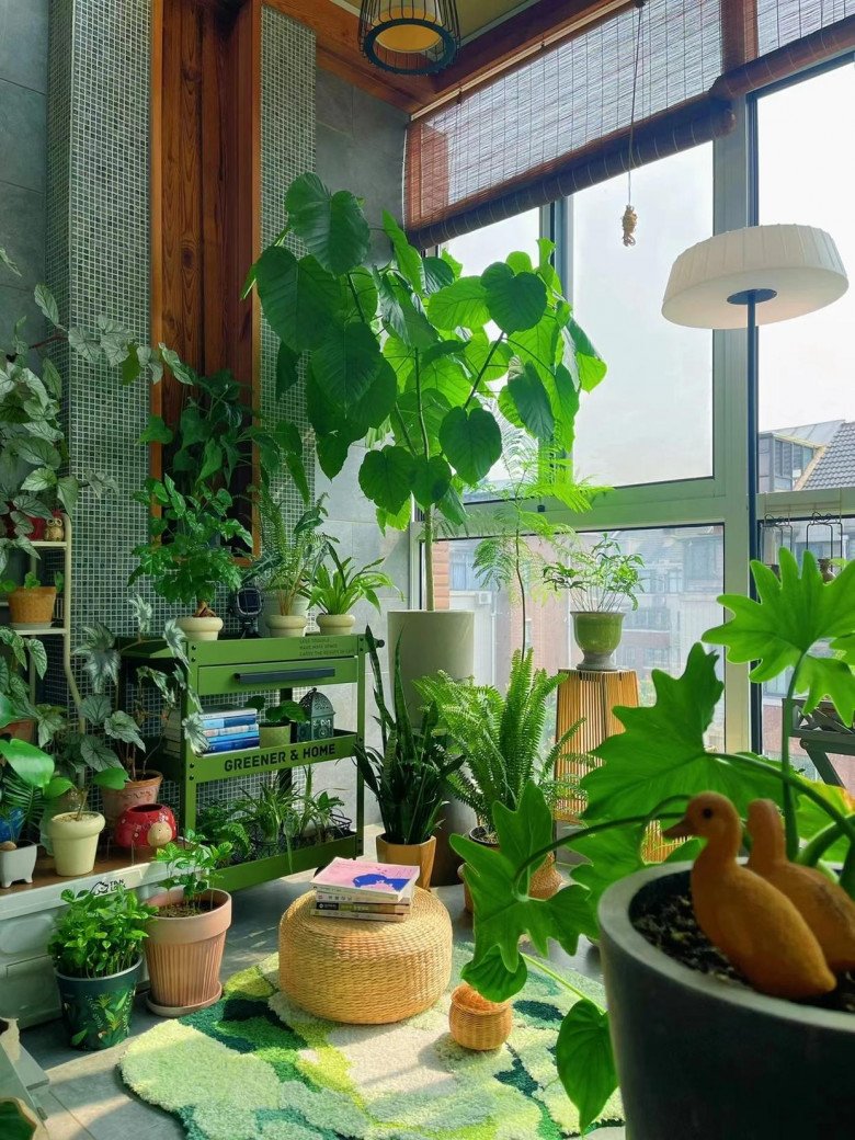 Cô gái biến ban công thành vườn hoa rực rỡ, chỉ 9m2 nhưng ngập tràn hoa lá - 1