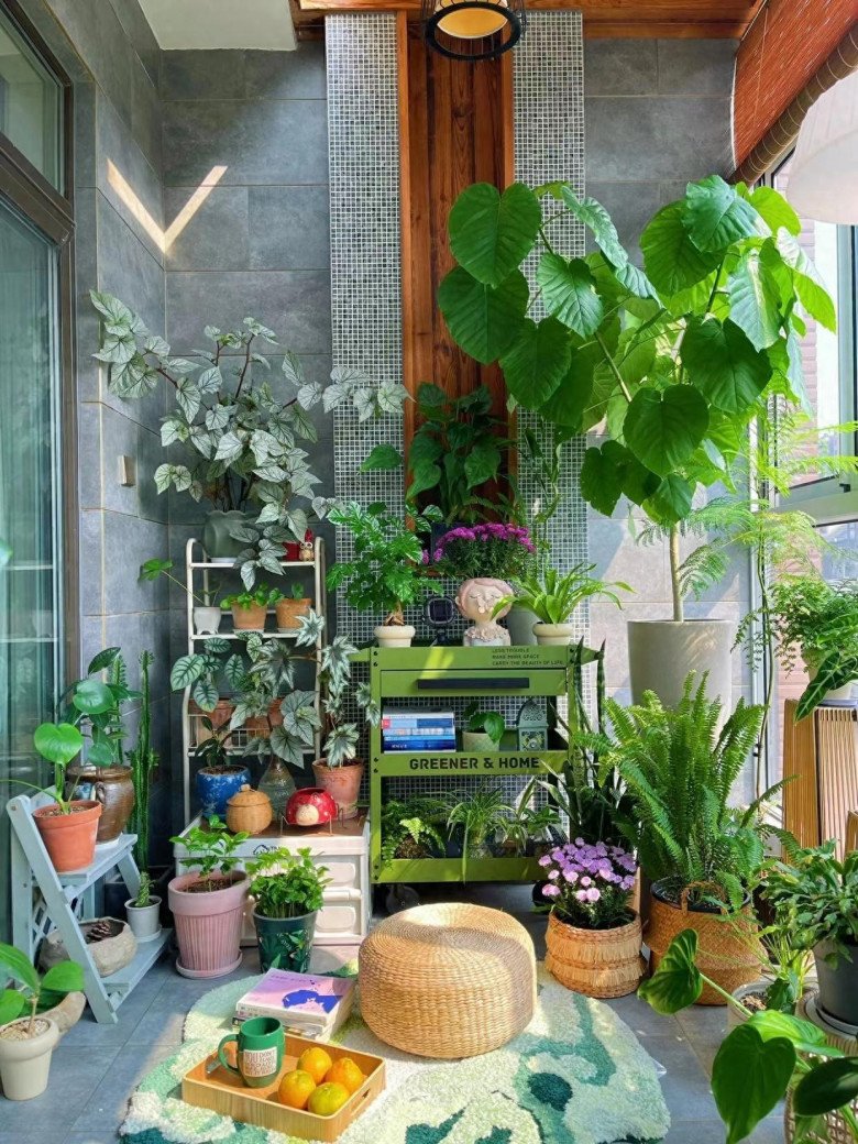 Cô gái biến ban công thành vườn hoa rực rỡ, chỉ 9m2 nhưng ngập tràn hoa lá - 5