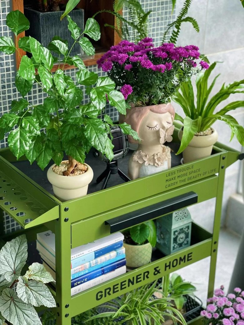 Cô gái biến ban công thành vườn hoa rực rỡ, chỉ 9m2 nhưng ngập tràn hoa lá - 7