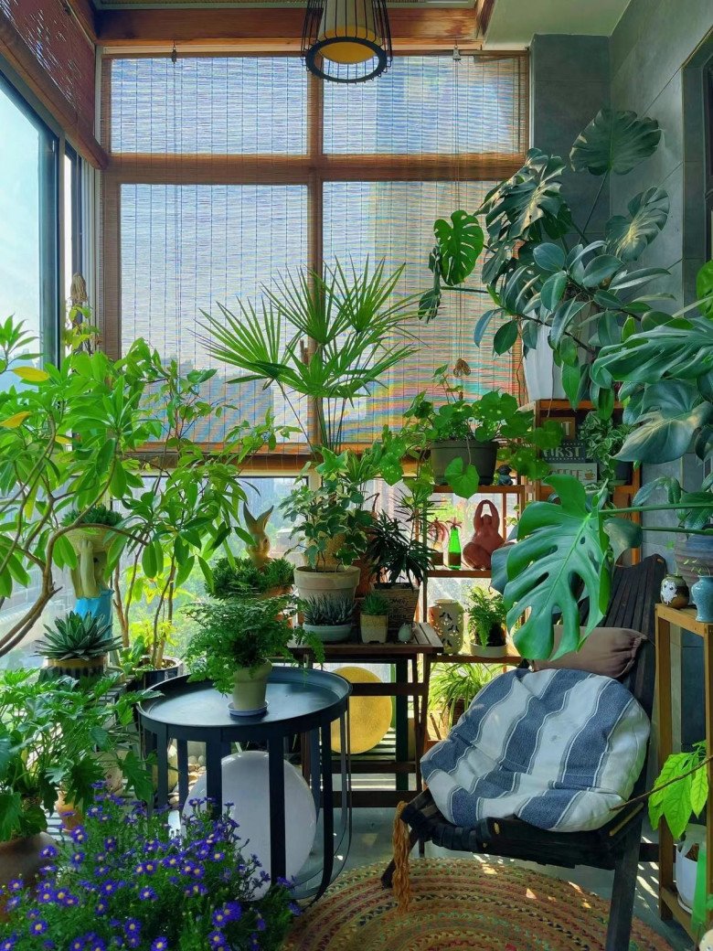 Cô gái biến ban công thành vườn hoa rực rỡ, chỉ 9m2 nhưng ngập tràn hoa lá - 10