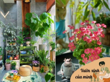 Cô gái biến ban công thành vườn hoa rực rỡ, chỉ 9m2 nhưng ngập tràn hoa lá