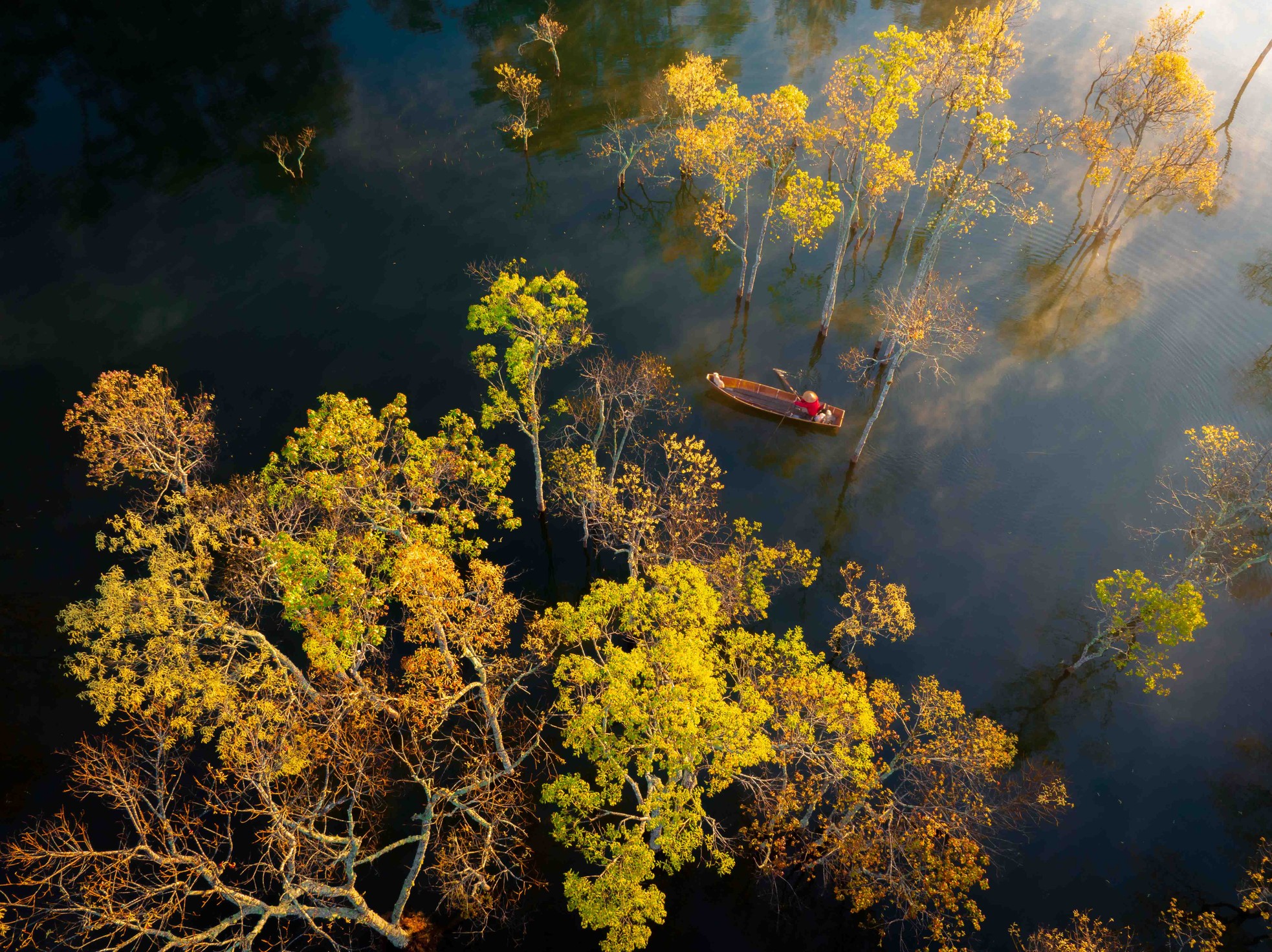 Thời điểm đầu xuân, những cây chò nước ra lá non nên tạo ra những mảng màu sắc xanh, vàng, đỏ biến đổi vô cùng kỳ diệu. Nhất là vào buổi sáng sớm khi có chút sương mờ bồng bềnh trên mặt hồ, cộng hưởng cùng chút ánh nắng ban mai dịu nhẹ làm những chiếc lá sáng rực rỡ. Đây là thời gian tuyệt đẹp và mong chờ nhất của những nhiếp ảnh gia phong cảnh, anh Hải luôn hết sức phấn khích khi nói về vẻ đẹp của suối Tía. Ảnh: Bùi Văn Hải.