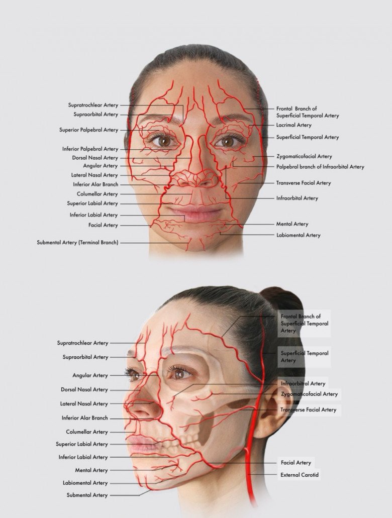 Ở vùng mặt có rất nhiều mạch máu, dây thần kinh thông với nhau nên tiêm filler bị mù mắt là điều rất dễ xảy ra. 