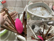 Bà bầu - Nàng dâu bầu bí đi vắng 1 tháng, khi trở về nhà chồng thấy cảnh này mà ngao ngán