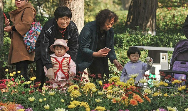 Người lớn tuổi đưa cháu đi ngắm hoa cúc tại một công viên ở tỉnh Cam Túc. Ảnh: Sui Zhen/People Visual.