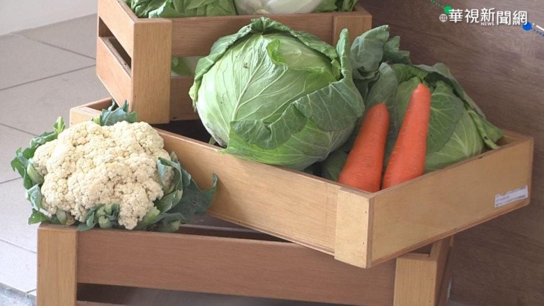 Bắp cải chứa vitamin U giúp bảo vệ niêm mạc dạ dày. (Ảnh minh họa)