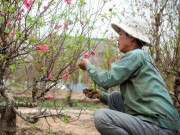 Tin tức - 4 thứ tuyệt đối không cho tặng, cần giữ kỹ trong tháng Chạp để tránh gặp xui xẻo, mất hết tài lộc