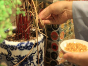 Nhà đẹp - Cuối năm rút tỉa chân hương nhớ để lại con số này, sang năm phúc lộc gấp bội