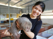 Tin tức - Nghề lạ ở Việt Nam: Bỏ bằng cử nhân về quê nuôi loài ăn đêm ngủ ngày, bán làm món đặc sản lạ thu lãi to