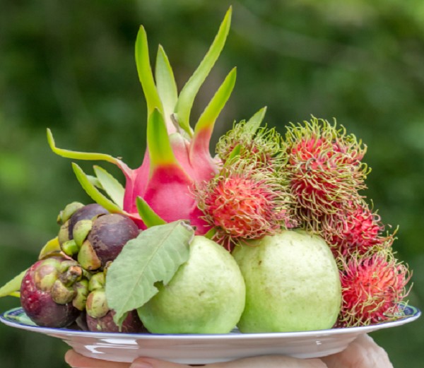 Ngoài màu đỏ đẹp, quả thanh long còn có ý nghĩa rồng xanh rất phù hợp dâng cúng lên ban thờ. Ảnh minh họa.