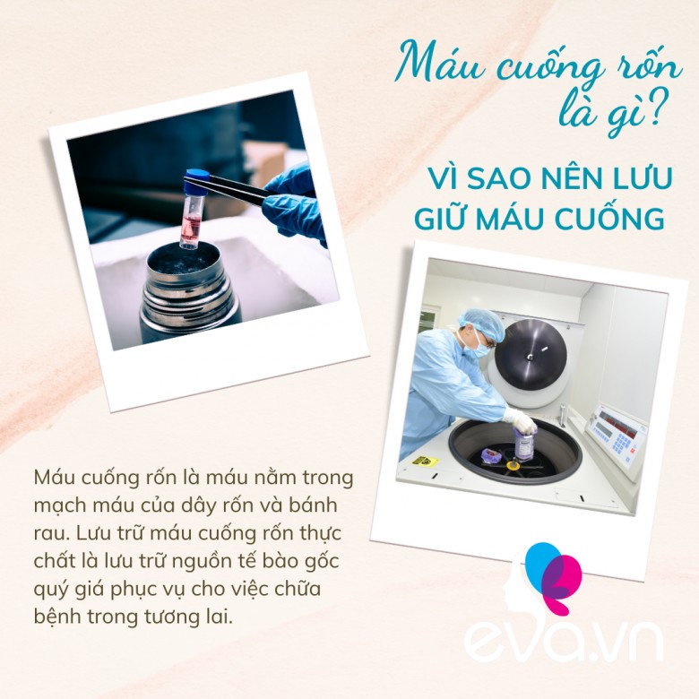 Lý do cha mẹ nên lưu trữ máu cuống rốn cho con mình như một hình thức “bảo hiểm sinh học trọn đời” - 2