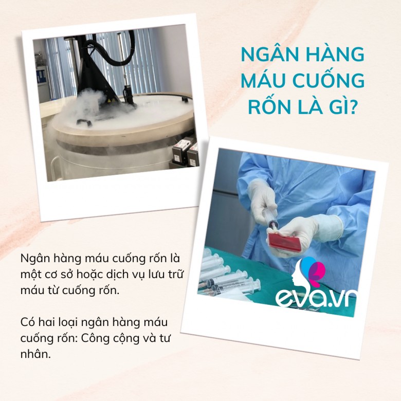 Lý do cha mẹ nên lưu trữ máu cuống rốn cho con mình như một hình thức “bảo hiểm sinh học trọn đời” - 3