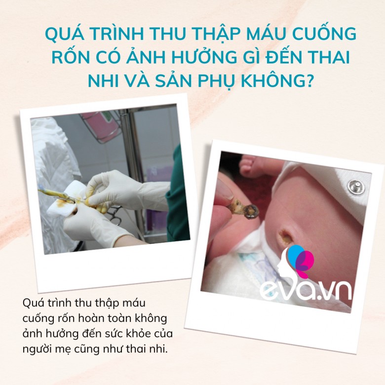 Lý do cha mẹ nên lưu trữ máu cuống rốn cho con mình như một hình thức “bảo hiểm sinh học trọn đời” - 6