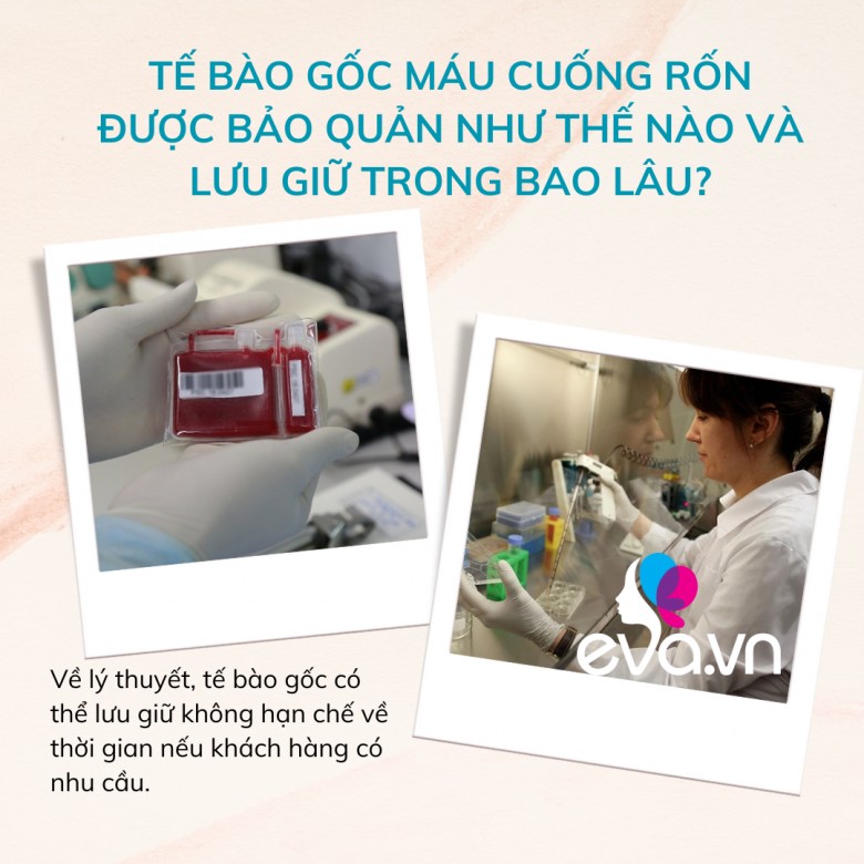Lý do cha mẹ nên lưu trữ máu cuống rốn cho con mình như một hình thức “bảo hiểm sinh học trọn đời” - 7
