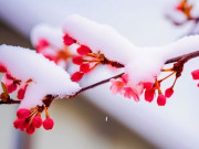Eva tám - Tính cách một người quyết định sự giàu có của người đó