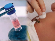 Bà bầu - Lý do cha mẹ nên lưu trữ máu cuống rốn cho con mình như một hình thức “bảo hiểm sinh học trọn đời”