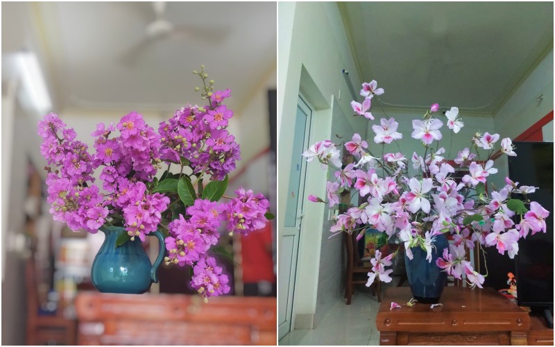 Bên trái là bình hoa bằng lăng tím, bên trái là hoa ban. Cả hai loại đều đẹp đến mê hồn. 
