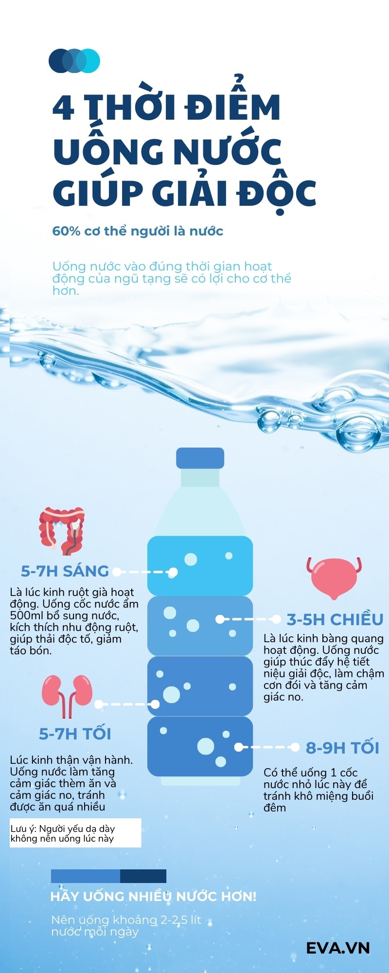 Bác sĩ Đông y: 4 thời điểm uống nước giúp giải độc ngũ tạng, nhưng người đau dạ dày nên tránh lúc này - 1