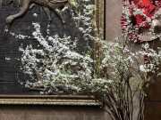 Thú chơi hoa nhân phẩm của hội chị em khi năm hết Tết đến