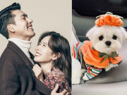 Lifestyle - “Cục vàng” nhà cặp đôi quyền lực bậc nhất showbiz Hàn đặc biệt cỡ nào?