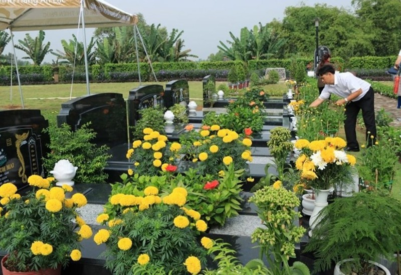 Nếu muốn trồng hoa để tăng sinh khí cho khu vực lăng mộ, bạn có thể chọn hoa cúc. Nên chọn trồng hoa cúc trắng, cúc vàng hoặc cúc vạn thọ.
