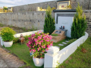 Nhà đẹp - Cuối năm đi tạ mộ, trồng 1 trong 10 cây này bên mộ con cháu đời đời giàu sang, gia đình êm ấm