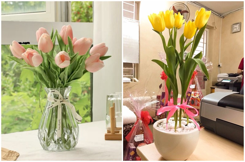 Hoa tulip rất đẹp nhưng phần củ của nó chứa chất tulipene, nếu không may ăn phải sẽ gây chóng mặt, buồn nôn. Do đó khi trưng loại cây hoa này trong nhà cần chú ý tránh xa tầm tay trẻ nhỏ, nhất là phần củ của hoa. 
