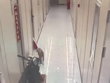 Clip: Tố shipper đi tiểu vào đồ ăn, cô gái sốc nặng khi xem lại camera